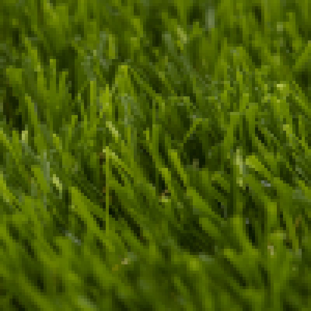 YACINA 6154 MOSS/PEAR 3000