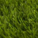 YACINA 6154 MOSS/PEAR 3000