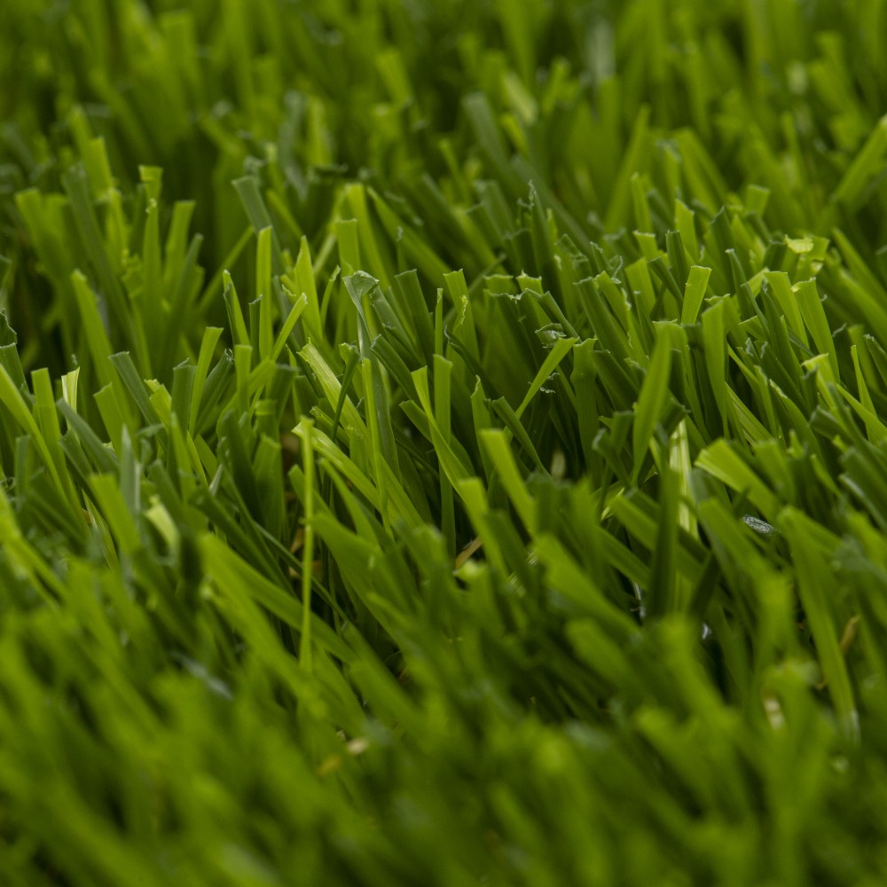 YADIRA 6155 GRASS/OLIVE 1000