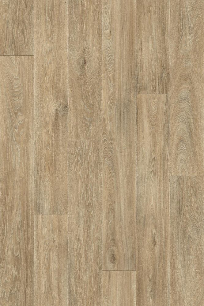 QUINTEX HAVANNA OAK 699L 5000