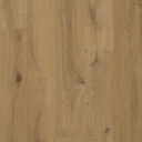 OCEAN V4 B4124 GYANT WARM NATURAL (2,20250)
