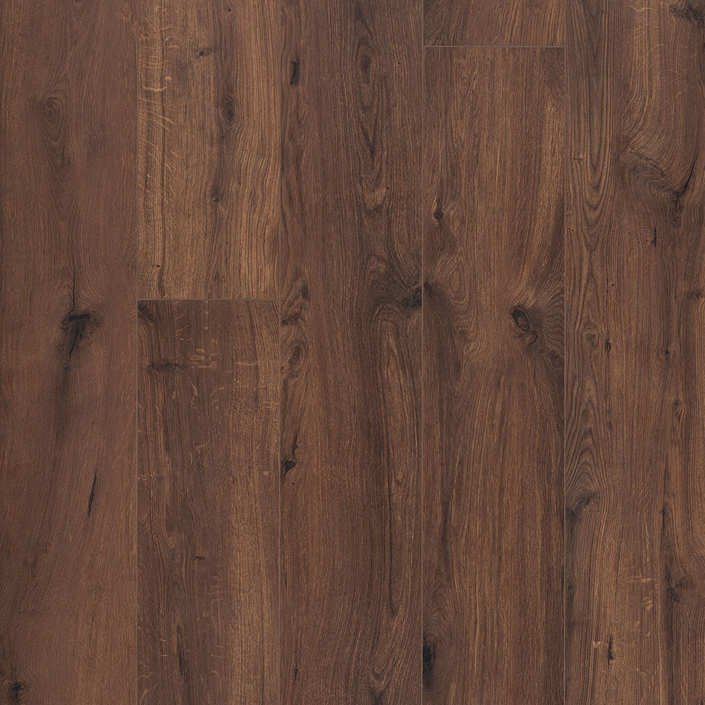 OCEAN XL 8V4 B1125 GYANT XL WARM BROWN (2,9469)