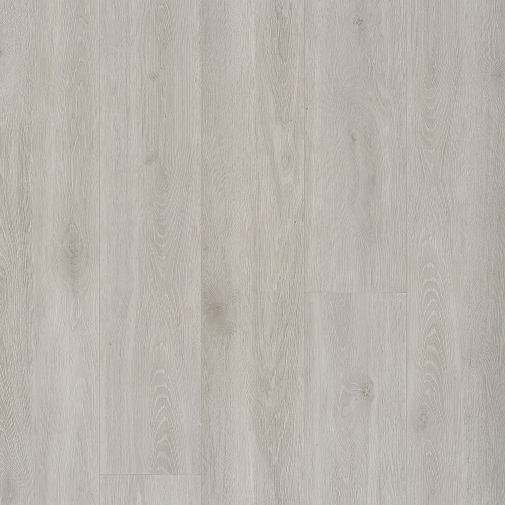 OCEAN XL 8 V4 B6426 BLOOM SILVER GREY / 2,9469