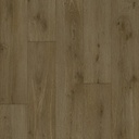 HARMONY FOREST OAK 221M 0500