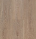 OLD OCEAN PLUS 8V4 B6406 BLOOM LIGHT BROWN (2,20250)