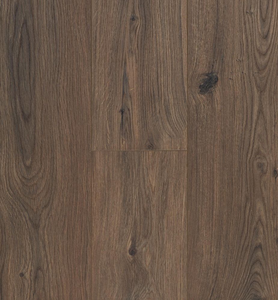 OLD OCEAN PLUS 8V4  B4113 GYANT DARK BROWN (2,20250)